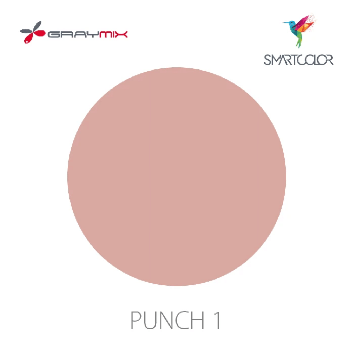 Graymix_2023_SmartColor_Punch-1