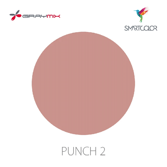 Graymix_2023_SmartColor_Punch-2
