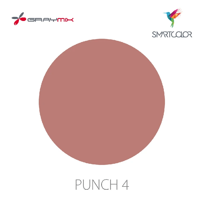 Graymix_2023_SmartColor_Punch-4